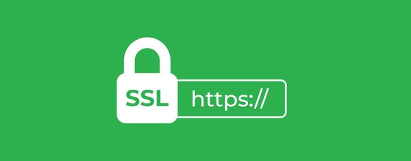 What is an SSL Certificate and Why Do I Need One?